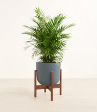 Lade das Bild in den Galerie-Viewer, Iron Gray stand:dark