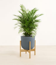 Load image into Gallery viewer, Iron Gray stand:bamboo