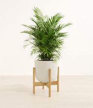 Lade das Bild in den Galerie-Viewer, Natural Bamboo stand:light