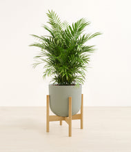 Load image into Gallery viewer, Sage Green stand:bamboo