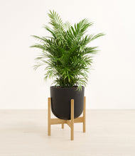 Lade das Bild in den Galerie-Viewer, Stone Black stand:light
