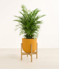 Lade das Bild in den Galerie-Viewer, Sunset Orange stand:light