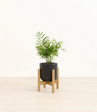 Load image into Gallery viewer, Stone Black stand:bamboo