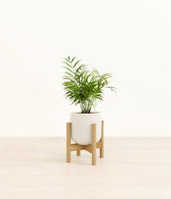 Load image into Gallery viewer, Cotton White stand:bamboo