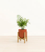 Load image into Gallery viewer, Glossy Red stand:bamboo
