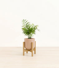 Load image into Gallery viewer, Glossy Pink stand:bamboo