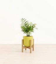 Load image into Gallery viewer, Key Lime Yellow stand:bamboo