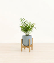 Load image into Gallery viewer, Misty Blue stand:bamboo