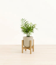 Load image into Gallery viewer, Sage Green stand:bamboo