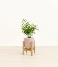 Load image into Gallery viewer, Sandy Pink stand:bamboo