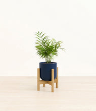 Load image into Gallery viewer, Twilight Blue stand:bamboo