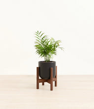 Load image into Gallery viewer, Stone Black stand:walnut