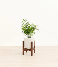 Load image into Gallery viewer, Cotton White stand:walnut