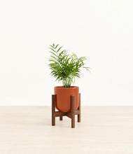 Load image into Gallery viewer, Glossy Red stand:walnut
