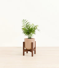 Load image into Gallery viewer, Glossy Pink stand:walnut