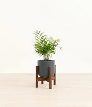 Load image into Gallery viewer, Iron Gray stand:walnut