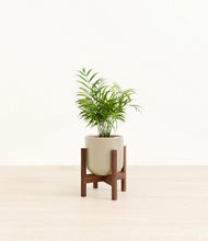 Load image into Gallery viewer, Sage Green stand:walnut