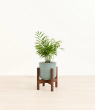 Load image into Gallery viewer, Reactive Aqua stand:walnut
