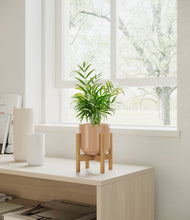 Load image into Gallery viewer, Glossy Pink stand:bamboo