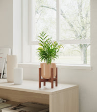 Load image into Gallery viewer, Glossy Pink stand:walnut