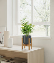 Load image into Gallery viewer, Iron Gray stand:bamboo