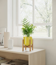 Load image into Gallery viewer, Key Lime Yellow stand:bamboo