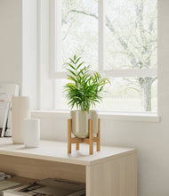 Load image into Gallery viewer, Sage Green stand:bamboo