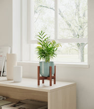 Load image into Gallery viewer, Reactive Aqua stand:walnut