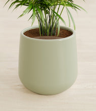 Load image into Gallery viewer, Turquoise stand:all