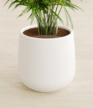 Load image into Gallery viewer, White stand:all