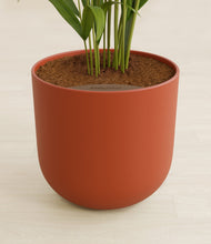 Load image into Gallery viewer, Earth Red stand:all