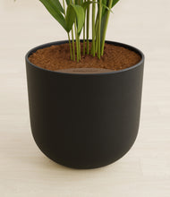Lade das Bild in den Galerie-Viewer, Stone Black stand:all