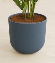 Load image into Gallery viewer, Iron Gray stand:all