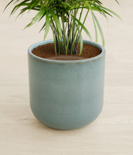 Load image into Gallery viewer, Reactive Aqua stand:all