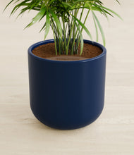 Load image into Gallery viewer, Twilight Blue stand:all
