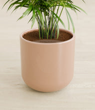 Load image into Gallery viewer, Glossy Pink stand:all