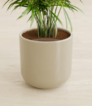 Load image into Gallery viewer, Sage Green stand:all