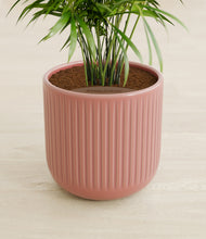 Load image into Gallery viewer, Striped Rose Pink stand:all