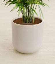 Load image into Gallery viewer, Snowdrift White stand:all