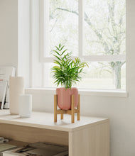 Load image into Gallery viewer, Striped Rose Pink stand:bamboo