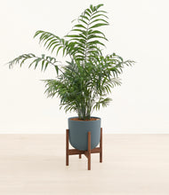 Lade das Bild in den Galerie-Viewer, Iron Gray stand:walnut