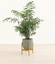 Lade das Bild in den Galerie-Viewer, Sage Green stand:bamboo