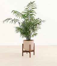 Lade das Bild in den Galerie-Viewer, Sandy Pink stand:walnut