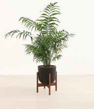 Lade das Bild in den Galerie-Viewer, Stone Black stand:walnut