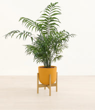 Lade das Bild in den Galerie-Viewer, Sunset Orange stand:bamboo
