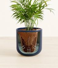 Load image into Gallery viewer, Twilight Blue stand:all