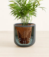 Load image into Gallery viewer, Iron Gray stand:all