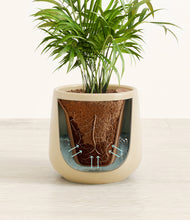 Load image into Gallery viewer, Almond Green stand:all