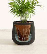 Load image into Gallery viewer, Black stand:all