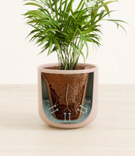 Load image into Gallery viewer, Sandy Pink stand:all